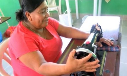 Sewing Machines and Equipment – La Ensenada